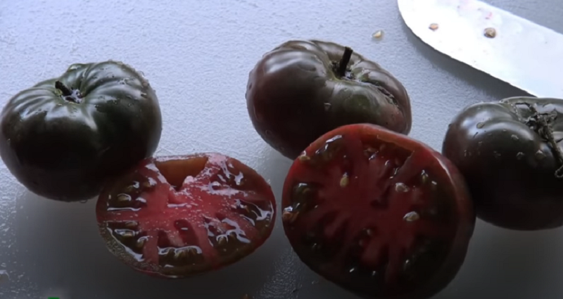 What is the Difference Between Black Krim and Cherokee Purple tomatoes?